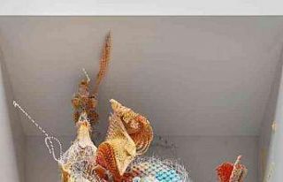 Refik Anadol’un “Casa Batllo: Yaşayan Mimari”...