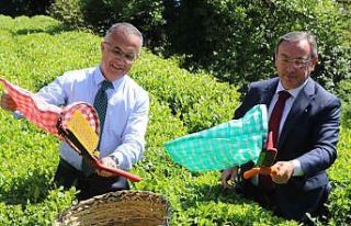 Rize protokolü çay bahçesine girdi