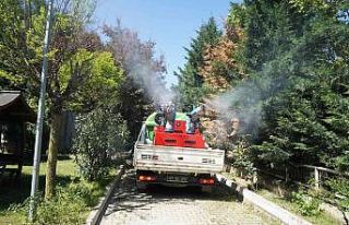 Robotik kodlama kollu araçla vektörle mücadele