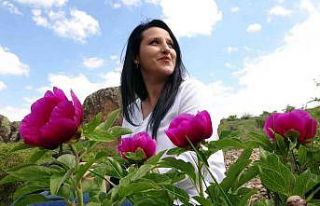 Sadece 15 gün ömrü olan cehrilik lalesi doğayı...