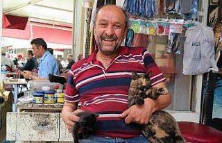 Sahipsiz kedilere boyacı Nevzat sahip çıktı