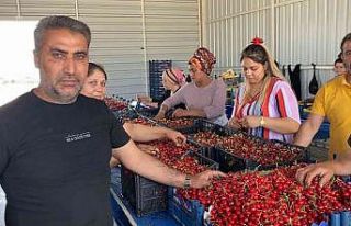 Sancaklıbozköy Kiraz Pazarı yüz güldürüyor