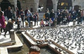 Şanlıurfa’da halk otobüsünün çarptığı çocuk...