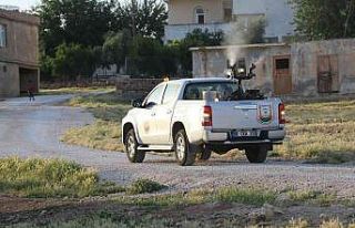 Şanlıurfa’da ilaçlama seferberliği
