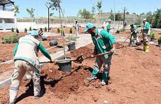 Şanlıurfa’da yeşil alan artırma çalışması