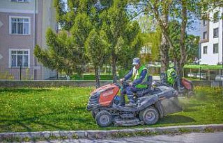 Şehir merkezi ve orta refüjlerdeki yeşil alanlarda...