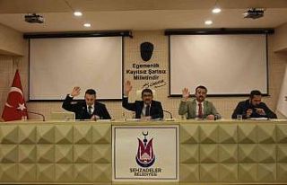 Şehzadeler Meclisi 22 gündem maddesini karara bağladı