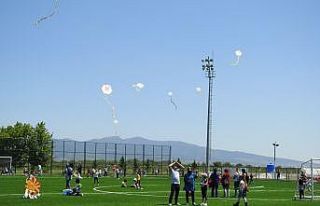 Şehzadeler’in gökyüzü uçurtmalarla renklendi