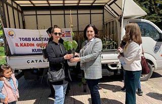 Sel bölgesindeki kadın çiftçilere fidan ve ata...