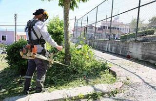 Serdivan yaza hazırlanıyor