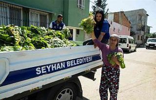 Seyhan Belediyesi ürettiği marulları halka dağıttı
