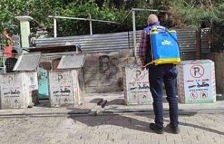 Siirt Belediyesi haşere ile mücadele çalışmalarını...