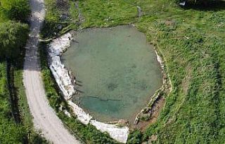 Siirt’te doktor balıklar şifa dağıtıyor