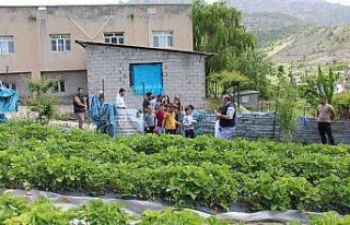 Şırnak’ta faaliyete giren projelerle ailelerin...