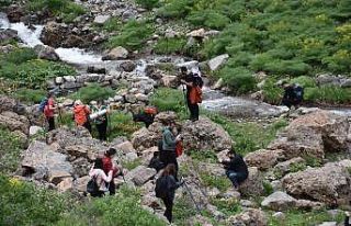 Şırnak’ta ters lale için turlar düzenleniyor