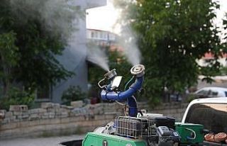 Sivrisinek ve haşeresiz bir yaz için ilaçlama çalışmaları...