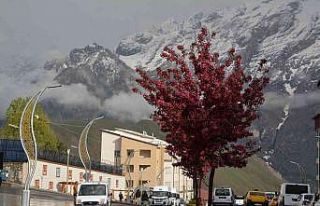 Sümbül Dağı’na kar yağdı