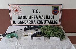 Suruç’ta uyuşturucu operasyonu