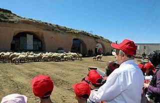 Talas’ta minikleri heyecanlandıran kuzu katımı