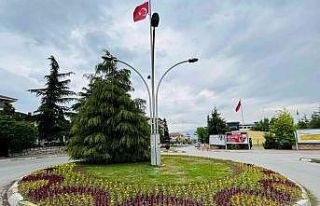 Tarihi ilçe Safranbolu, serada yetiştirilen çiçeklerle...