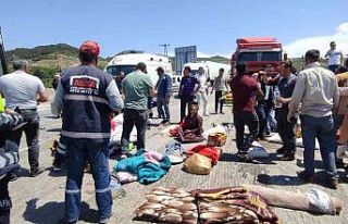 Tarım işçilerini taşıyan kamyonet devrildi: 8’i...