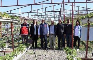 ‘Tarımsal üretimde en son çare kimyasal mücadele’