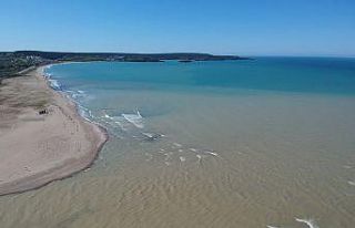 Taşkın sonrası Sinop kıyıları çamura büründü