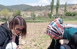 Tavşanlı Balıköy bölgesinde çiftçiler bilgilendirildi