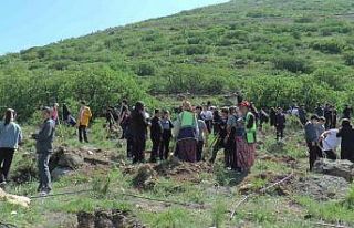 Tekden Koleji öğrencileri 280 fidanı toprakla buluşturdu