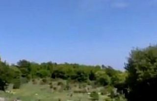 Tekirdağ’da kovanları kırıp 4 milyon arıyı...