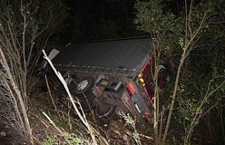 TEM’de kontrolden çıkan yumurta dolu kamyon devrildi