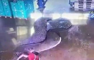 Temizlik yapmak isterken hortumdan gelen ani su ile...