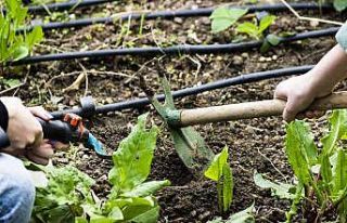 ’Terasta Tarım’ alanında öğrenciler ağırlanmaya...