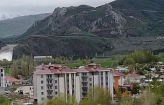 Tercan Barajında su seviyesi yüzde yüze ulaştı