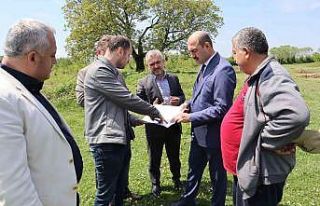 Terme’ye yeni şehir mezarlığı yapılıyor