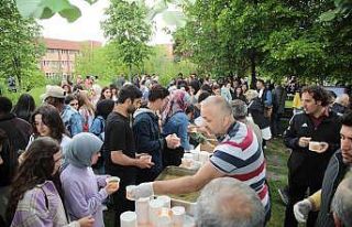 Tokat’ta madımak şenliği