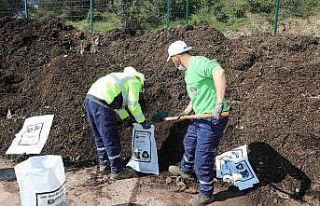 Toplanan dal ve otlar geri dönüştürülüyor