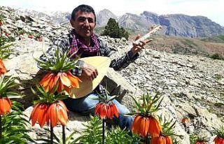 Tunceli dağlarında açan ters laleler ilgi odağı...