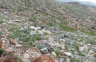 Tunceli’de EYP imha edildi