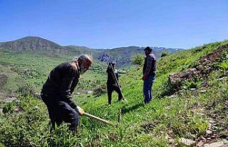 Tunceli’de meyve fidanları toprakla buluştu