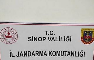 Türkeli’de ruhsatsız tabanca ele geçirildi