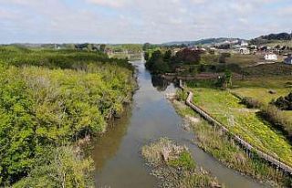 Türkiye’de tek parça halindeki en büyük longoz:...