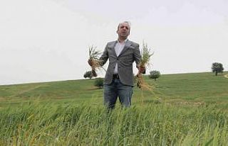 Türkiye’deki kuraklık riskine dikkat çekildi