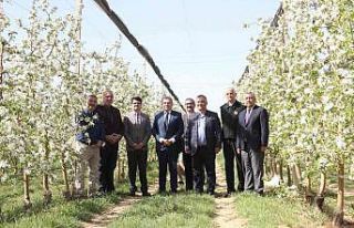 Türkiye’nin en büyük elma üreticisi Hindistan’a...