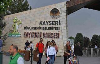 Ücretsiz hayvanat bahçesine yoğun ilgi