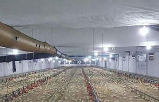 Ulutaş, tavuk çiftliğinde incelemelerde bulundu
