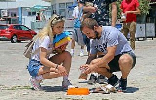 Üniversiteli öğrenciler, yerleşkedeki sokak hayvanlarını...