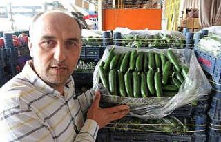 Üretim arttı, sebze fiyatları düştü