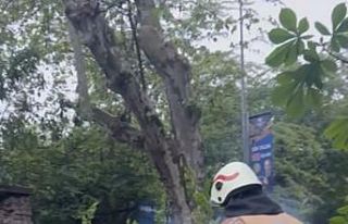 Üsküdar’da seyir halindeki araçların üzerine...