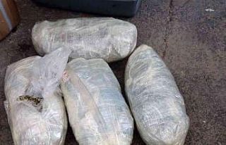 Uyuşturucu sevkiyatı polise takıldı